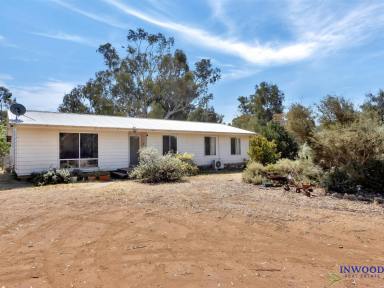 Farm Sold - SA - Cambrai - 5353 - Secluded oasis. 1.89 Ha, River Red gums, comfortable and affordable country property. Tranquility and space.  (Image 2)