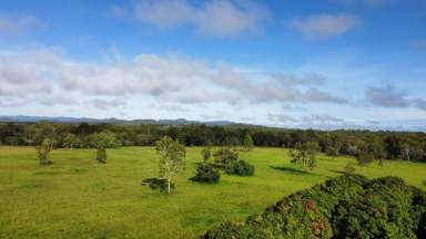 Farm Sold - QLD - Dimbulah - 4880 - 27.9 acres on Walsh River Doorstep  (Image 2)