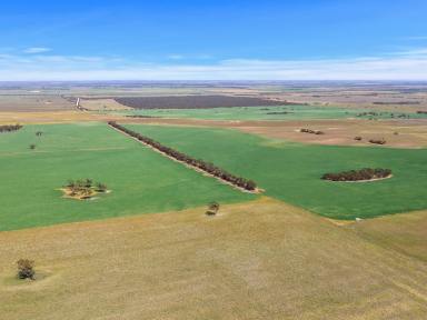 Farm Sold - SA - Wynarka - 5306 - TWO PROPERTIES WITH A 3500 HEAD FEEDLOT PLUS HEALTHY CROPPING AND TERRIFIC GRAZING ON THE HIGHLY REGARDED MARMON JABUK RANGE  (Image 2)