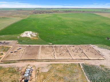 Farm Sold - SA - Wynarka - 5306 - TWO PROPERTIES WITH A 3500 HEAD FEEDLOT PLUS HEALTHY CROPPING AND TERRIFIC GRAZING ON THE HIGHLY REGARDED MARMON JABUK RANGE  (Image 2)