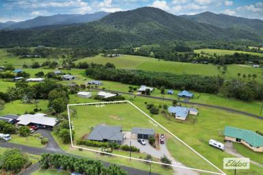 Farm Sold - QLD - Feluga - 4854 - It's all about the view!  (Image 2)