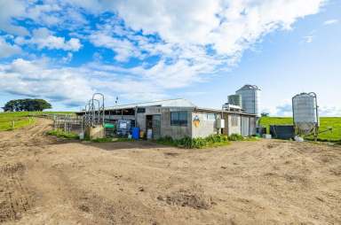 Farm Sold - VIC - Cowleys Creek - 3268 - Timboon District Dairy Farm  (Image 2)