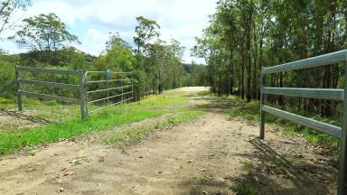 Farm Sold - QLD - Conondale - 4552 - LIFESTYLE RETREAT & CABIN  (Image 2)