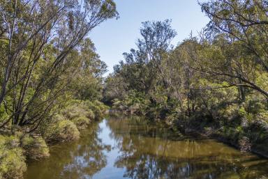 Farm Sold - WA - Nannup - 6275 - 120 metres of stunning Blackwood River frontage  (Image 2)