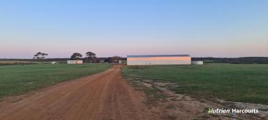 Farm Sold - WA - Boxwood Hill - 6338 - Versatile Property Located on the South Coast!  (Image 2)