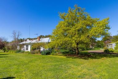 Farm Sold - VIC - Caramut - 3274 - Outstanding Caramut District property  (Image 2)