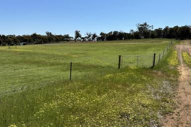 Farm For Sale - WA - Woodanilling - 6316 - 6 Lovely Acres  (Image 2)