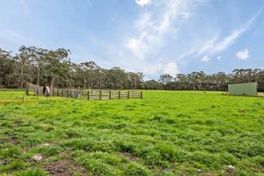 Farm For Sale - TAS - Smithton - 7330 - Invest in a Rural LifeStyle Block 26.29 Hectares with Water Views.  (Image 2)