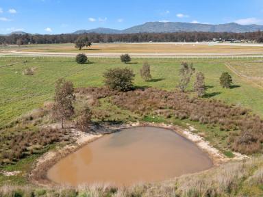 Farm Sold - VIC - Seymour - 3660 - 20 Acres only minutes from town  (Image 2)