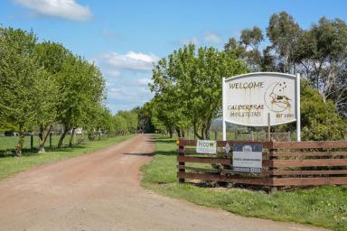 Farm Sold - VIC - Larpent - 3249 - ATTRACTIVE QUALITY COLAC DISTRICT PROPERTY  (Image 2)