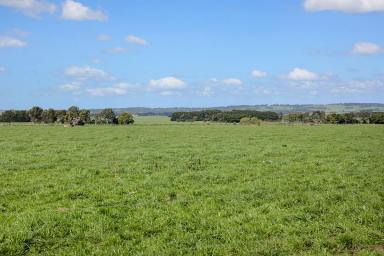 Farm Sold - VIC - Larpent - 3249 - ATTRACTIVE QUALITY COLAC DISTRICT PROPERTY  (Image 2)