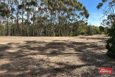 Farm For Sale - SA - Williamstown - 5351 - UNDER CONTRACT BY JEFF LIND  (Image 2)