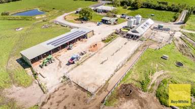 Farm For Sale - VIC - Inverloch - 3996 - Outstanding Dairy Opportunity  (Image 2)