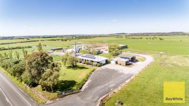 Farm For Sale - VIC - Inverloch - 3996 - Outstanding Dairy Opportunity  (Image 2)