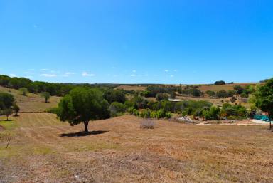 Farm Sold - QLD - Apple Tree Creek - 4660 - ON TOP OF THE WORLD  (Image 2)