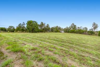 Farm Sold - QLD - Veteran - 4570 - "What if one Opportunity could Change your Life?"  (Image 2)