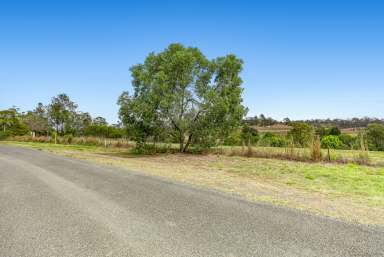 Farm Sold - QLD - Veteran - 4570 - "What if one Opportunity could Change your Life?"  (Image 2)