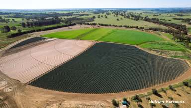 Farm For Sale - WA - Beermullah - 6503 - Horticulture and Storage Property, Just North Of Perth. Motivated Sellers!  (Image 2)