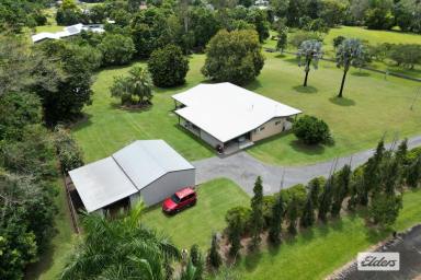 Farm For Sale - QLD - Bulgun - 4854 - Backing on to National Park,  Rainforest AND Mountains  (Image 2)