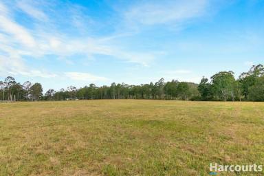 Farm Sold - NSW - Wallarobba - 2420 - Build Your Dream Home In a Quiet Country Setting  (Image 2)