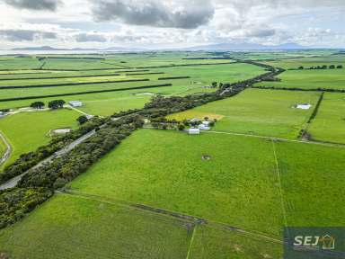 Farm For Sale - VIC - Yanakie - 3960 - Prime productive pasture, spectacular Prom views  (Image 2)