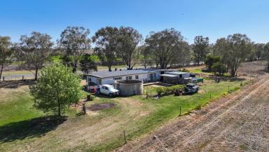 Farm Sold - NSW - Tamworth - 2340 - "Rosebank" Aggregation  (Image 2)
