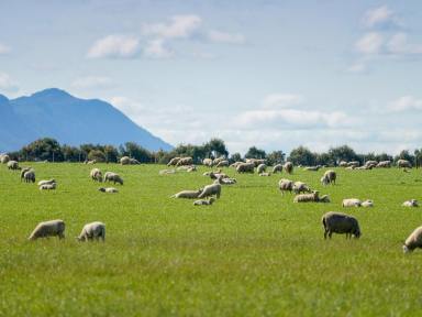 Farm Sold - VIC - Strathkellar - 3301 - SOUGHT AFTER LOCATION – DIVERSE OPPORTUNITIES  (Image 2)