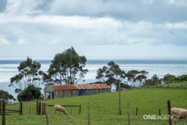 Farm Sold - TAS - Table Cape - 7325 - Blue Ribbon Property!  (Image 2)