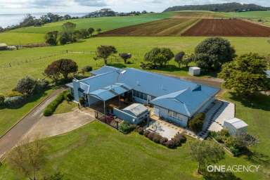 Farm Sold - TAS - Table Cape - 7325 - Blue Ribbon Property!  (Image 2)