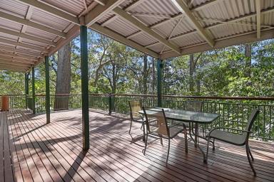 Farm Sold - QLD - Mount Glorious - 4520 - Whisper Quiet Bush Setting - Where Creativity Can Flow…  (Image 2)