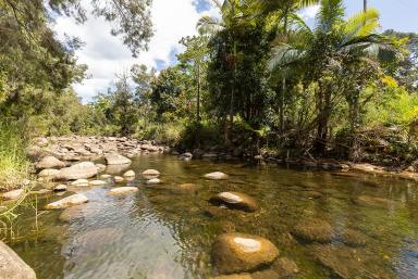 Farm Sold - QLD - Owens Creek - 4741 - OWNER NEEDS TO DOWNSIZE!  (Image 2)