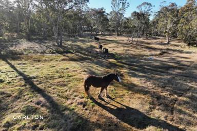 Farm Sold - NSW - Marulan - 2579 - Country Living  (Image 2)