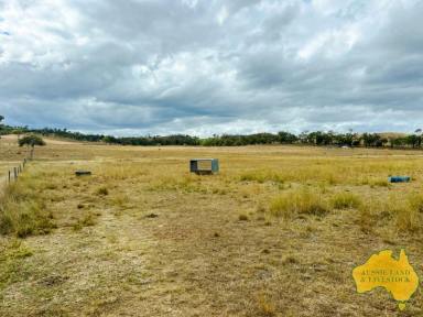 Farm For Sale - QLD - Wilson Valley - 4625 - “YETTI COTTAGE” via Wilsons Valley  (Image 2)