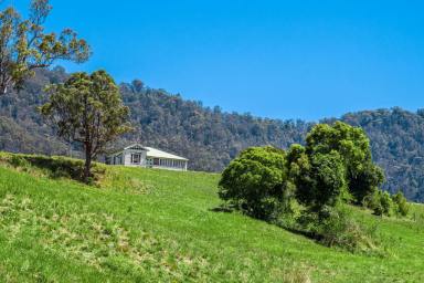 Farm For Sale - NSW - Green Pigeon - 2474 - 360 Degrees of Breathtaking!  (Image 2)