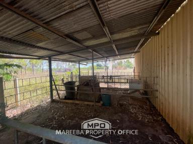 Farm Sold - QLD - Mareeba - 4880 - RARE LARGE ACREAGE LIFESTYLE BLOCK  (Image 2)