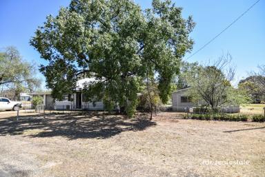 Farm For Sale - NSW - Inverell - 2360 - TWO IS BETTER THAN ONE  (Image 2)