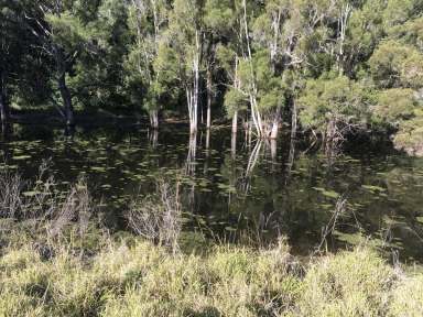 Farm For Sale - QLD - Mount Whitestone - 4347 - DISCOVER THE ULTIMATE RURAL RETREAT: "PARADISE"  (Image 2)