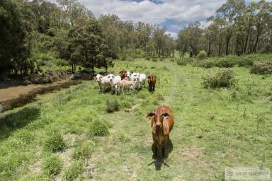 Farm For Sale - QLD - Mount Whitestone - 4347 - DISCOVER THE ULTIMATE RURAL RETREAT: "PARADISE"  (Image 2)