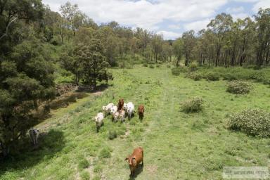Farm For Sale - QLD - Mount Whitestone - 4347 - DISCOVER THE ULTIMATE RURAL RETREAT: "PARADISE"  (Image 2)
