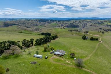 Farm For Sale - NSW - Golspie - 2580 - "Rockwell" Versatile Southern Tablelands Grazing !  (Image 2)