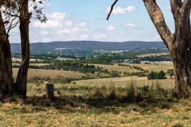 Farm For Sale - NSW - Goulburn - 2580 - FRAME THIS VIEW FOREVER!  (Image 2)