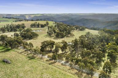 Farm Sold - NSW - Taralga - 2580 - What a view!!  (Image 2)
