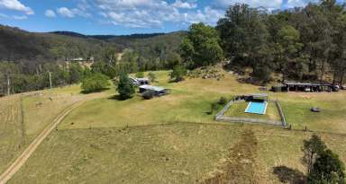 Farm Sold - NSW - Laguna - 2325 - Idyllic Laguna Country Retreat  (Image 2)