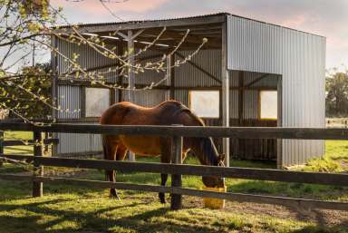 Farm For Sale - VIC - Newham - 3442 - "Penny Lane"   9.989 Ha (24.68 Acres), a perfect horse-lover's haven  (Image 2)