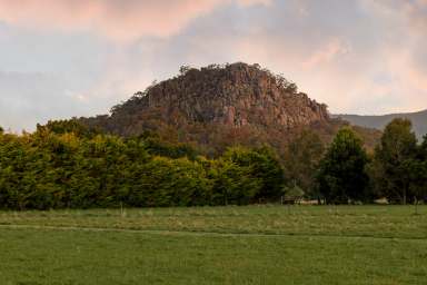 Farm For Sale - VIC - Newham - 3442 - "Penny Lane"   9.989 Ha (24.68 Acres), a perfect horse-lover's haven  (Image 2)