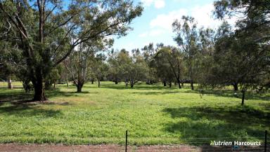 Farm For Sale - WA - Gingin - 6503 - One of our favourite blocks in Gingin - A Hidden Treasure on Spring fed Gingin Brook  (Image 2)