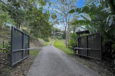 Farm For Sale - QLD - Gordonvale - 4865 - Privacy Plus - Beautiful Queenslander - Magical Views - 26 Acres  (Image 2)