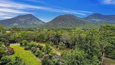 Farm For Sale - QLD - Gordonvale - 4865 - Privacy Plus - Beautiful Queenslander - Magical Views - 26 Acres  (Image 2)