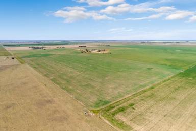 Farm Sold - VIC - Mitiamo - 3573 - Prime agricultural land with dual titles  (Image 2)