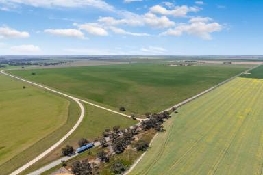 Farm Sold - VIC - Mitiamo - 3573 - Prime agricultural land with dual titles  (Image 2)